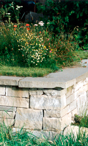 Gartenbau Rothrist Zofingen